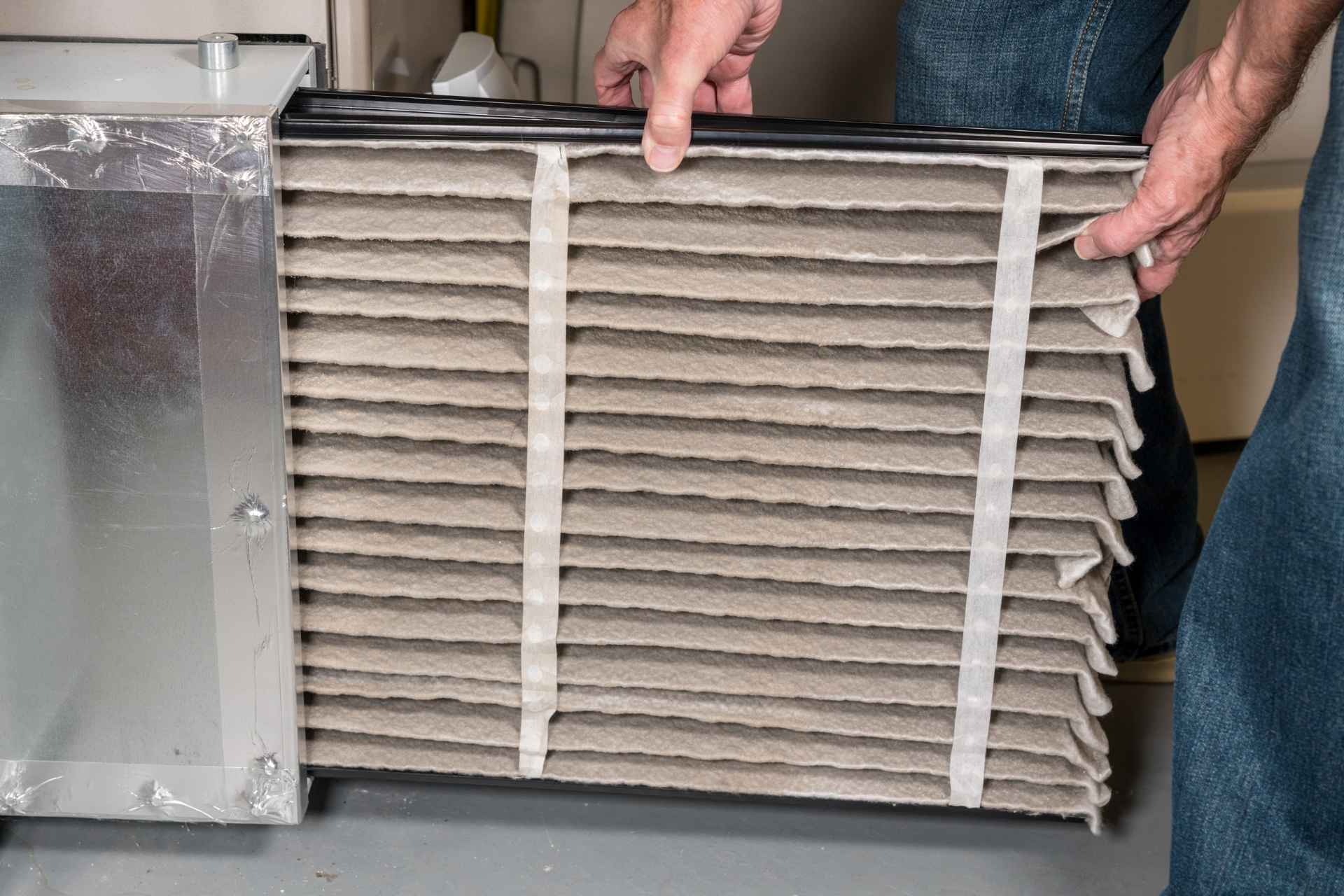 The Hidden Health Benefits of Cleaner Air in Your Home